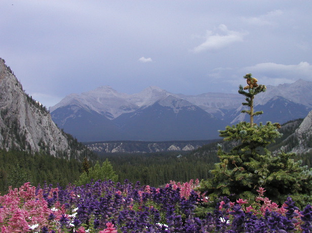 P8252994 View from Banff Springs Hotel