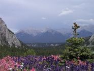 P8252994 View from Banff Springs Hotel