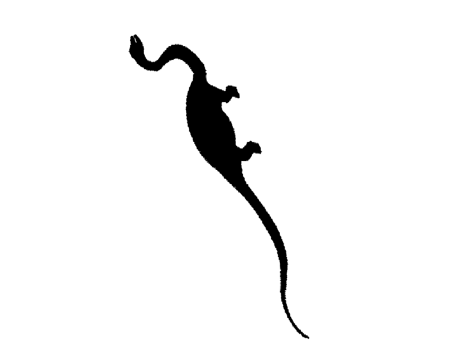 Dino4