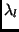 $\lambda_l$