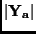 $\vert{\bf Y_a}\vert$