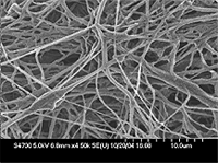 Electrospun