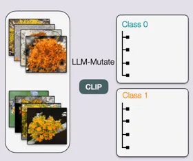 Teaser for Evolving Interpretable Visual Classifiers with Large Language Models