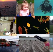 Teaser for Moments in Time Dataset: one million videos for event understanding