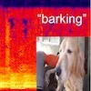 Teaser for See, Hear, and Read: Deep Aligned Representations