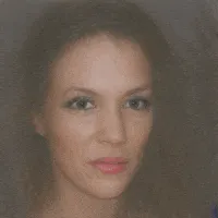 Teaser for Landscape Learning for Neural Network Inversion