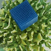 Teaser for SurfsUp: Learning Fluid Simulation for Novel Surfaces
