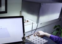 Reconstructing Hand Poses Using Visible Light