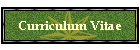 Curriculum Vitae