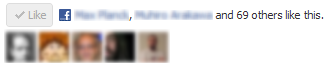 Facebook's Like button instance