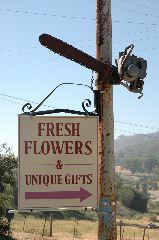 20040607-0931 Fresh Flowers and Unique Gifts