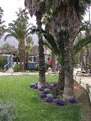 P5310049 Two Harbors