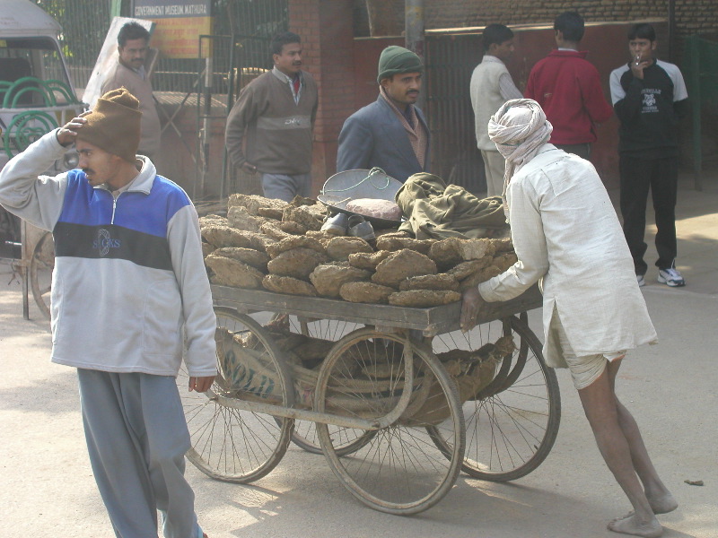 p1054127 Shit Delivery