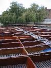 Punts, Cambridge