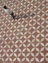 p1054093 Pavement and Person