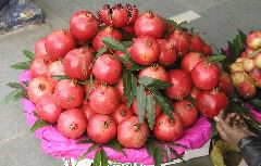 P1034002 Pomegranats, Connaught Place