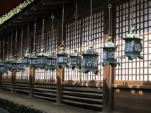 Lanterns, Kasuga Grand Shrine, Nara