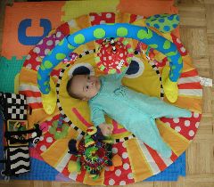 pa026352 Kyle lion around