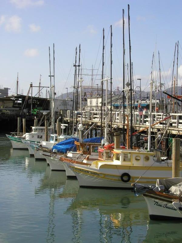 pb096550 Fishing Boats at Fishermans Wharf