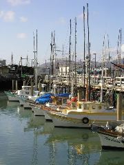 pb096550 Fishing Boats at Fishermans Wharf