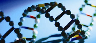 From Data to Solutions IGERT