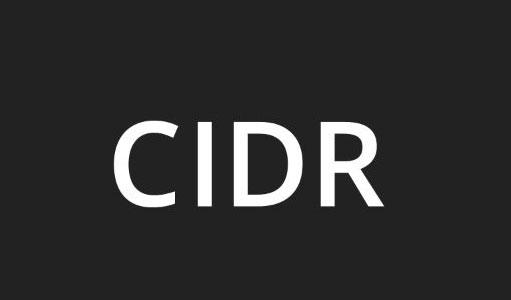 CIDR logo