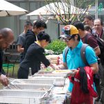 csbbq_s2011_003