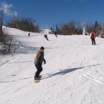 img_3550_std