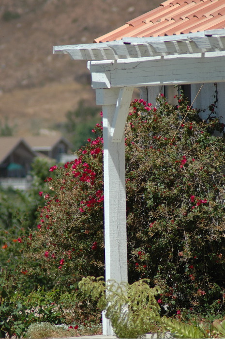 20040605-0570 House and red bush