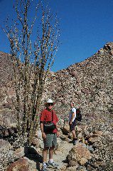 20040606-0637 Gerard Cactus and Friend