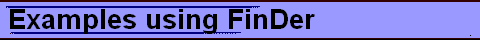  Examples using FinDer 